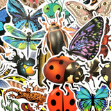 Stickers Vintage Papillon